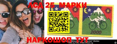 гидропоника Сланцы