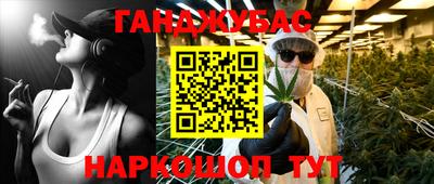 гидропоника Сланцы