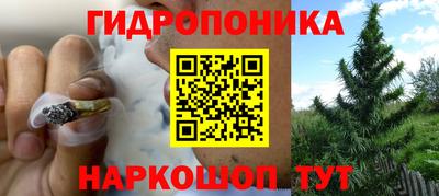 стафф Среднеуральск