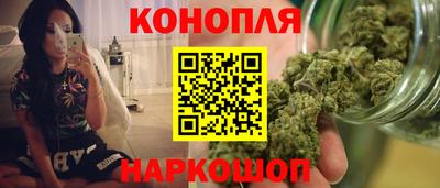 гидропоника Сланцы