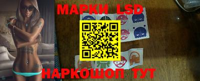 гидропоника Сланцы