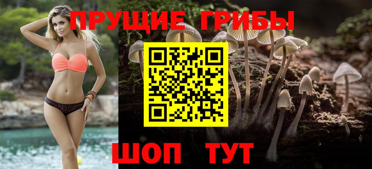 продажа наркотиков  Псилоцибиновые грибы прущие грибы  Вход с VPN  Нижневартовск 
